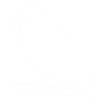 Pasari