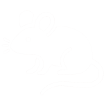 Rozatoare